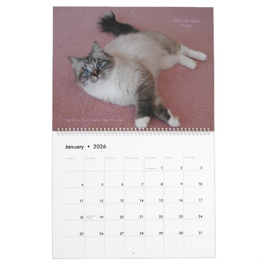 Siberische katten Kittens Jan2012 - Kalender maart (Jan 2026)