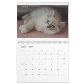 Siberische katten Kittens Jan2012 - Kalender maart (Mar 2027)