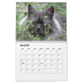 Siberische kattenkalender kalender (Mar 2027)