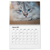 Siberische kattenkalender kalender (Feb 2027)