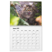 Siberische kattenkalender kalender (Jan 2027)