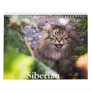 Siberische kattenkalender kalender