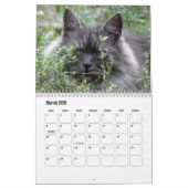 Siberische kattenkalender kalender (Mar 2026)