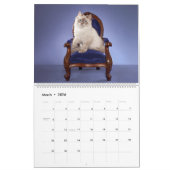 Siberische Kittens kalender (Mar 2026)