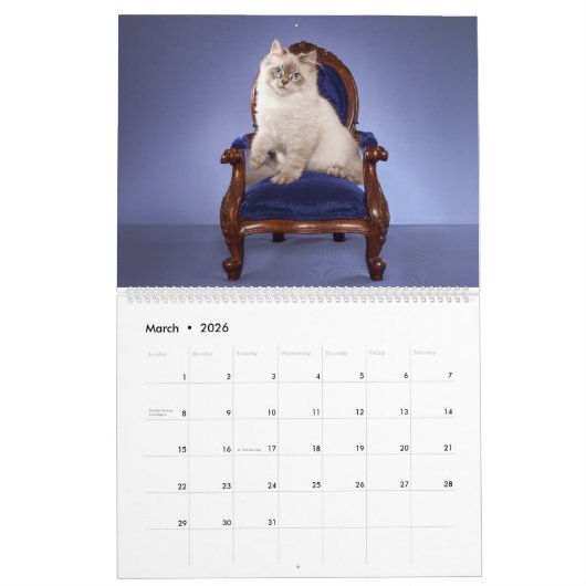 Siberische Kittens kalender (Mar 2026)