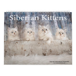 Siberische Kittens kalender