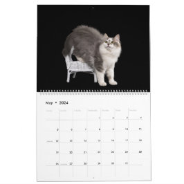 Siberische Kittens Kalender