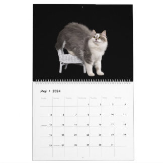 Siberische Kittens Kalender