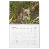 Siberische lynx 034, Siberië Lynx Kalender (Jan 2027)