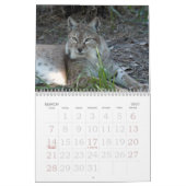Siberische lynx 034, Siberië Lynx Kalender (Mar 2027)