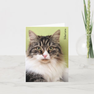 Siberische Magische Nota Kaarten