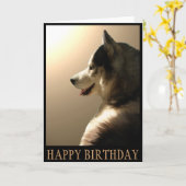 Siberische Schor Kaart/de Kaart Malamute Van (Gele Bloem)