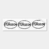 Siberische sturgeon Euro Stickers (Voorkant)