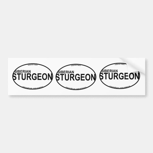 Siberische sturgeon Euro Stickers (Voorkant)