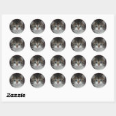 Siberische tablet/White Kitten Ronde Sticker (Vel)