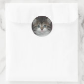 Siberische tablet/White Kitten Ronde Sticker (Tas)