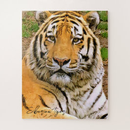 Siberische tijger ジ ソ ー パ ズ ル legpuzzel