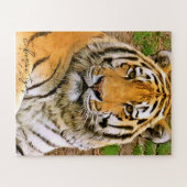 Siberische tijger ジ ソ ー パ ズ ル legpuzzel (Horizontaal)