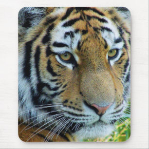 Siberische Tijger, Amur Tijger Muismat
