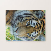 Siberische Tijger, Amur Tijger Puzzel (Horizontaal)