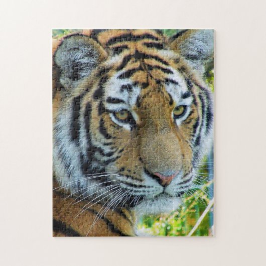 Siberische Tijger, Amur Tijger Puzzel (Verticaal)