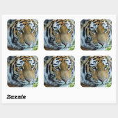 Siberische Tijger, Amur Tijger Sticker (Vel)