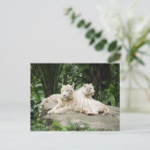 Siberische tijger briefkaart (Staand voorkant)