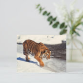 Siberische tijger briefkaart (Staand voorkant)