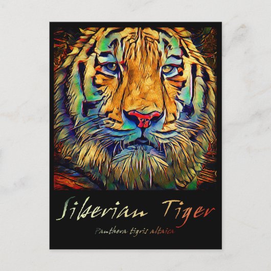 Siberische tijger [Briefkaart] Briefkaart (Voorkant)