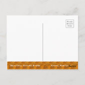 Siberische tijger [Briefkaart] Briefkaart (Achterkant)