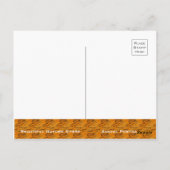 Siberische tijger [Briefkaart] Briefkaart (Achterkant)