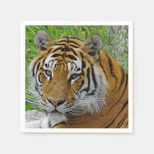 Siberische Tijger Close-up Foto van Gezicht Servetten