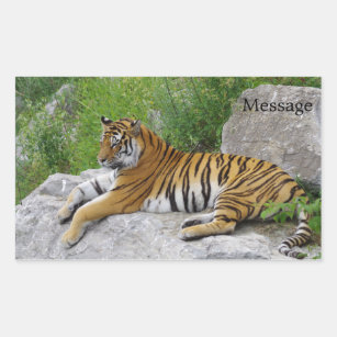 Siberische tijger die op een rots ligt rechthoekige sticker