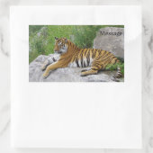 Siberische tijger die op een rots ligt rechthoekige sticker (Tas)