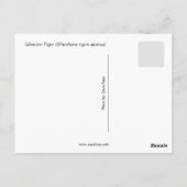 Siberische tijger en Cub Briefkaart (Achterkant)