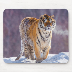 Siberische tijger in de sneeuw, China Muismat