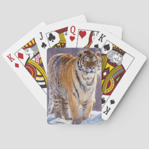 Siberische tijger in de sneeuw, China Speelkaarten