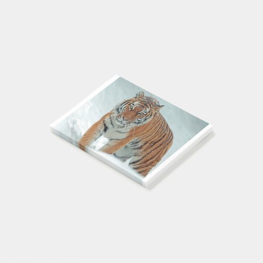 Siberische tijger in de sneeuw post-it® notes (Schuin)