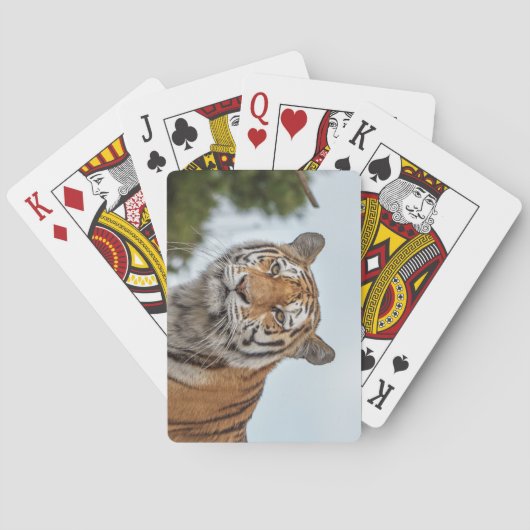 Siberische tijger in het wild pokerkaarten (Achterkant)
