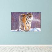 Siberische tijger in sneeuw, China Canvas Afdruk (Insitu (Houten vloer))