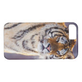 Siberische tijger in sneeuw, China Case-Mate iPhone Case (Achterkant (Horizontaal))
