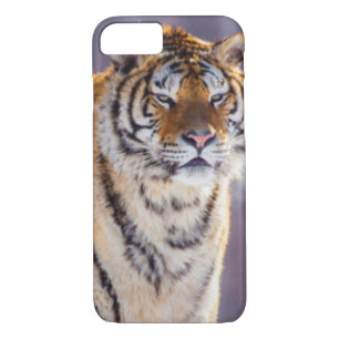 Siberische tijger in sneeuw, China Case-Mate iPhone Case
