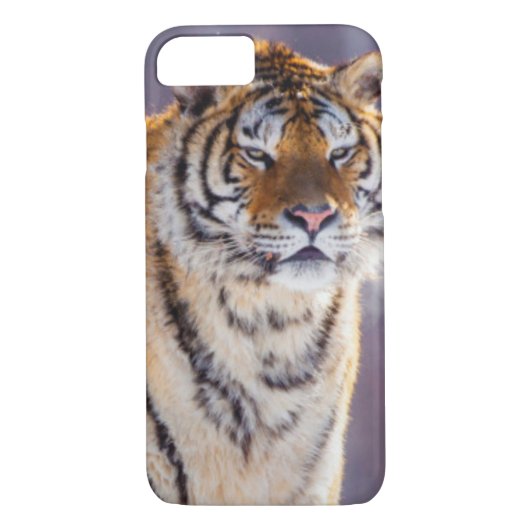 Siberische tijger in sneeuw, China Case-Mate iPhone Case (Achterkant)
