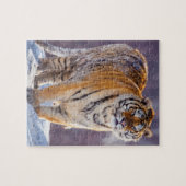 Siberische tijger in sneeuw, China Legpuzzel (Horizontaal)
