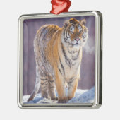 Siberische tijger in sneeuw, China Metalen Ornament (Links)