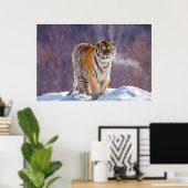 Siberische tijger in sneeuw, China Poster (Thuiskantoor)