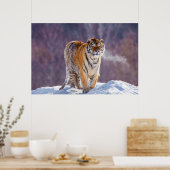 Siberische tijger in sneeuw, China Poster (Keuken)