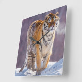 Siberische tijger in sneeuw, China Vierkante Klok (Hoek)