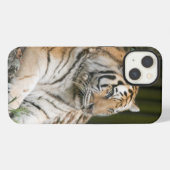 Siberische Tijger iPhone Hoesje (Achterkant horizontaal)