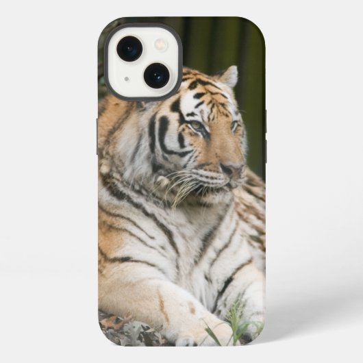 Siberische Tijger iPhone Hoesje (Achterkant)